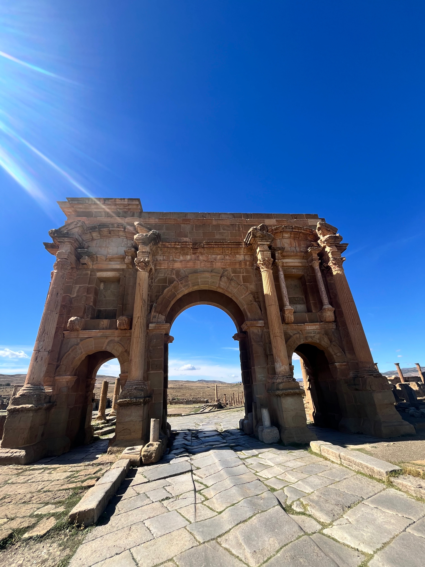 PalmPay Digital — L'avenir digital de l'Algérie